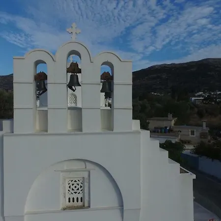 Naxos Vorto *