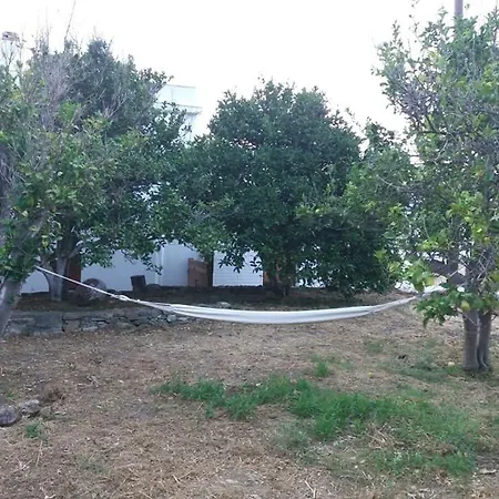 Naxos Vorto * Dhamarionas