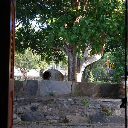 Naxos Vorto Vila *