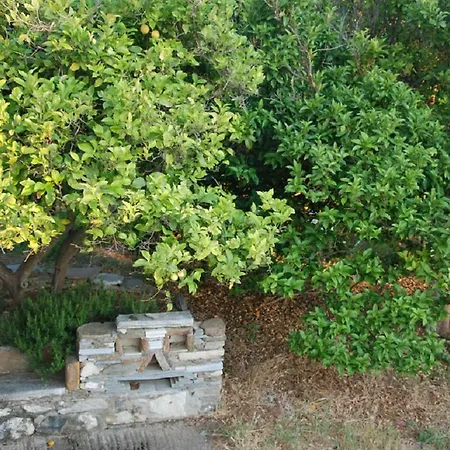 Vila Naxos Vorto Dhamarionas